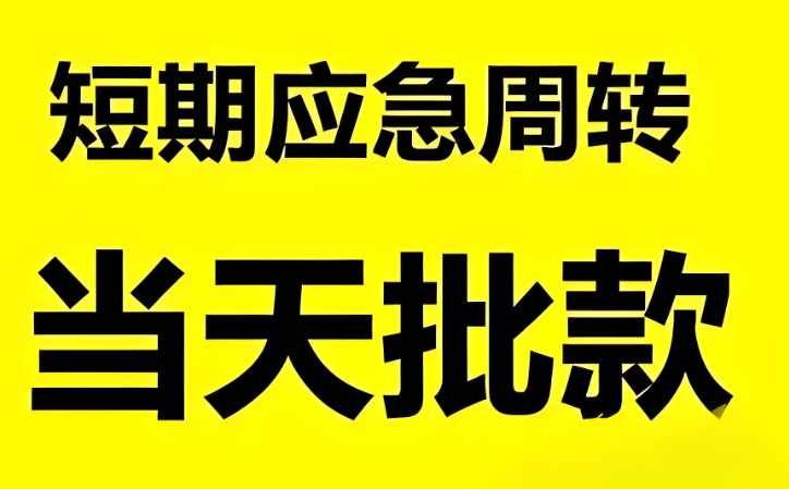 新余二手车抵押借款，额度高放款快！